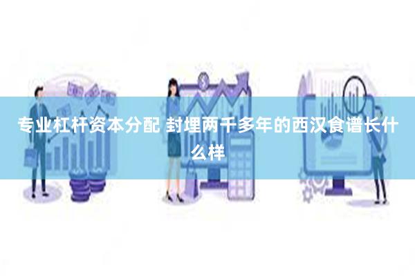 专业杠杆资本分配 封埋两千多年的西汉食谱长什么样