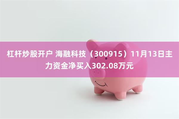 杠杆炒股开户 海融科技（300915）11月13日主力资金净买入302.08万元