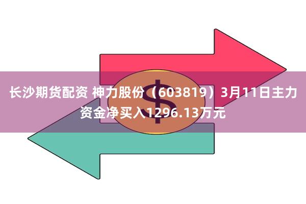 长沙期货配资 神力股份（603819）3月11日主力资金净买入1296.13万元