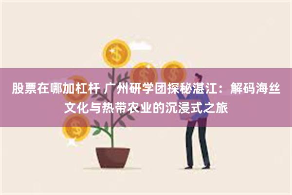 股票在哪加杠杆 广州研学团探秘湛江：解码海丝文化与热带农业的沉浸式之旅