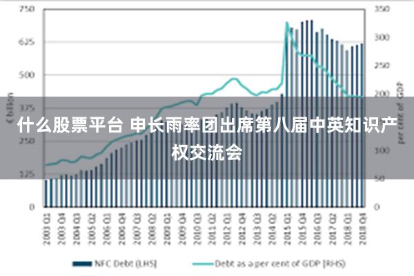 什么股票平台 申长雨率团出席第八届中英知识产权交流会