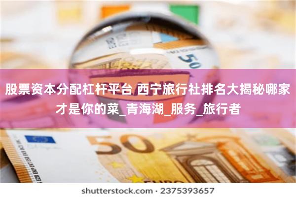 股票资本分配杠杆平台 西宁旅行社排名大揭秘哪家才是你的菜_青海湖_服务_旅行者