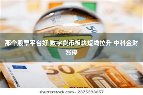 那个股票平台好 数字货币板块短线拉升 中科金财涨停