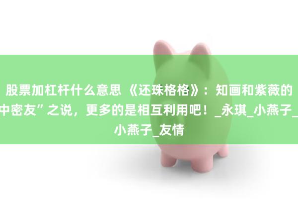 股票加杠杆什么意思 《还珠格格》：知画和紫薇的“闺中密友”之说，更多的是相互利用吧！_永琪_小燕子_友情