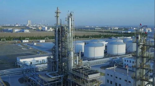 砥礪奮進五年間 奎屯—獨山子經(jīng)濟技術開發(fā)區(qū)榮獲兩項國家級殊榮，技術轉讓成果顯著