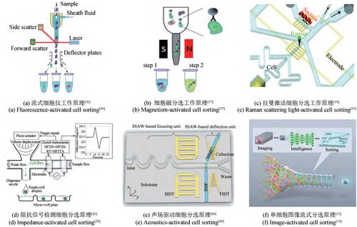 合成生物學 生物制造引領制造業的未來