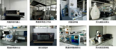 生物技術開發與化學工程技術服務平臺的融合創新