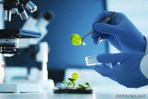 留學(xué)馬來西亞 生物技術(shù)與生物技術(shù)開發(fā)，如何區(qū)分這對(duì)“雙胞胎”專業(yè)？